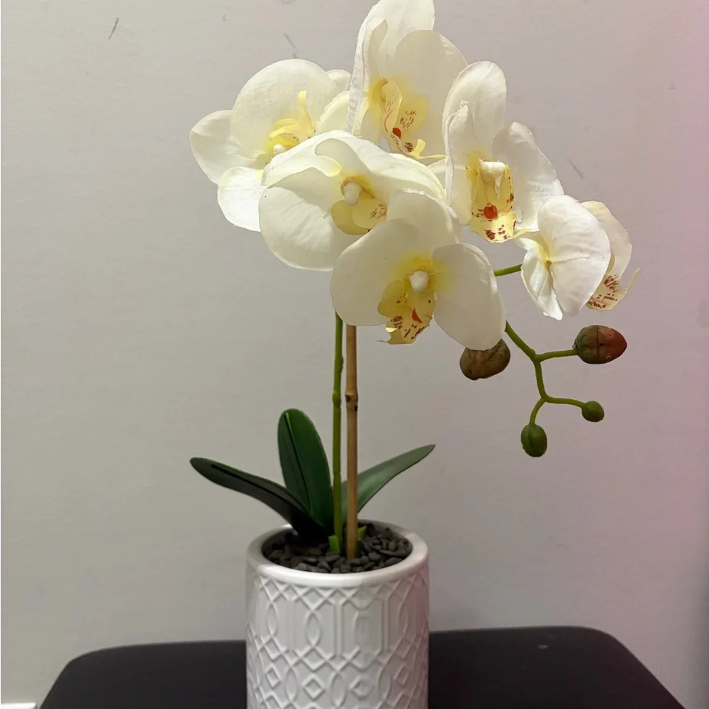 White Phalaenopsis Orchid Faux Plant in Decorative White Ceramic Pot